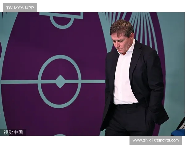 法甲球队年度转会回顾：各球队转会动态与影响